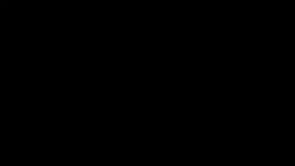 Plex Tv animated logo