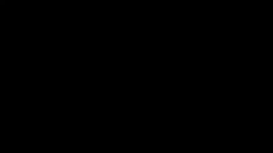 Netflix logo animation
